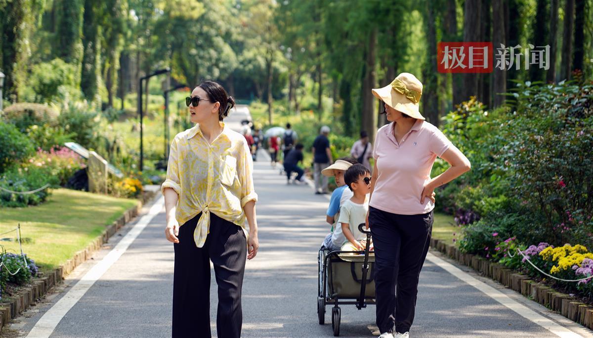 318全迅网送38彩金